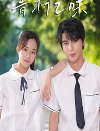 青柠之味