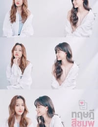 粉红理论