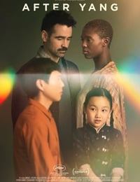 杨之后