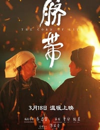 脐带