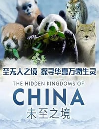 未至之境
