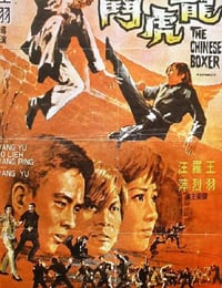 龙虎斗