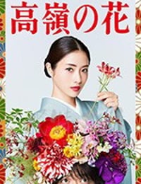 高岭之花