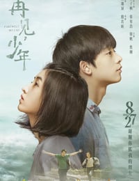 再见，少年