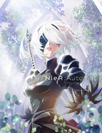 尼尔：自动人形 Ver1.1a