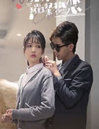 凉小姐的璀璨热恋