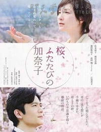 樱，重逢的加奈子