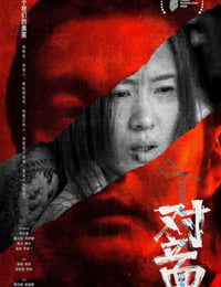 对立面