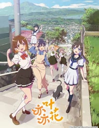 亦叶亦花