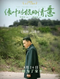 绿叶对根的情意