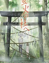 萤火之森