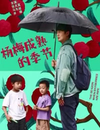 杨梅成熟的季节