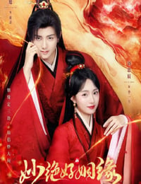 妙绝好姻缘