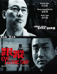 跟踪