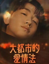 大都市爱情法