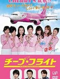 廉价航班