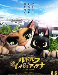 黑猫鲁道夫