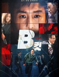 B级文件