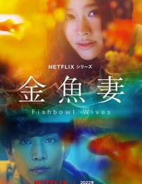 金鱼妻