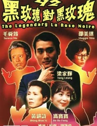 92黑玫瑰对黑玫瑰