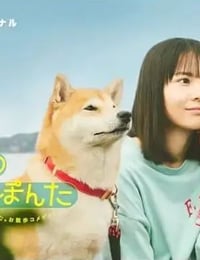 今日份的散步