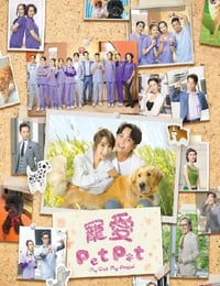 宠爱Pet Pet