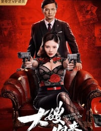 大嫂归来