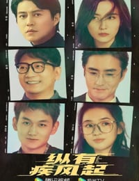 纵有疾风起
