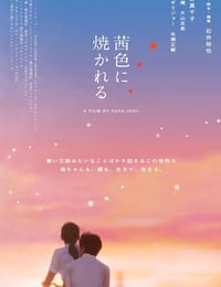 茜色如烧