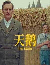 天鹅