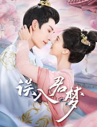 误入君梦