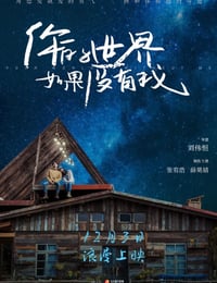 你的世界如果没有我