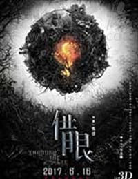 借眼