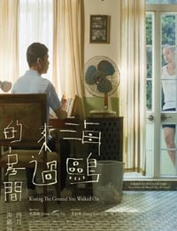 海鸥来过的房间