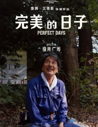完美的日子