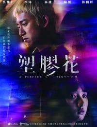 塑胶花
