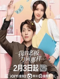 我的老板为何那样