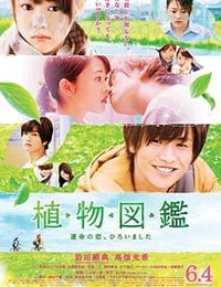 植物图鉴