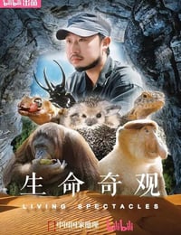 生命奇观