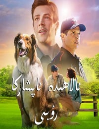 义犬救主