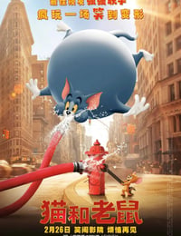 猫和老鼠