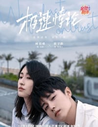 极速悖论