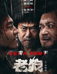 老狗
