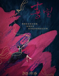 喜宝