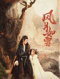 风月如雪