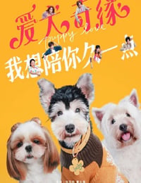 爱犬奇缘