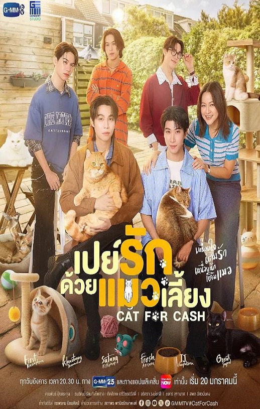 以猫饲爱