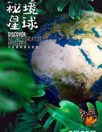 秘境星球