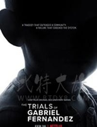 盖布瑞案：消逝的小生命 第一季