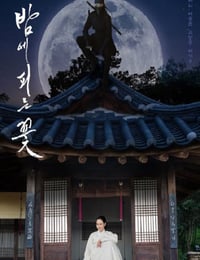 夜晚开的花